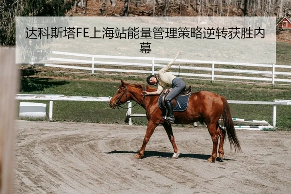 da-ke-si-ta-shang-hai-zhan-neng-liang-guan-li-ce-lve-ni-zhuan-huo-sheng-nei-mu-1-615.jpg