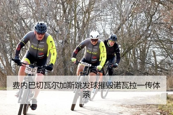 费内巴切瓦尔加斯跳发球摧毁诺瓦拉一传体系